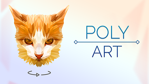 Poly Art